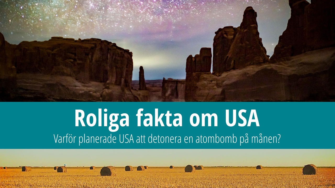 25 otroliga fakta om USA som du inte visste om  | © Unsplash.com